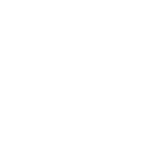 Custom Curriculum Icon